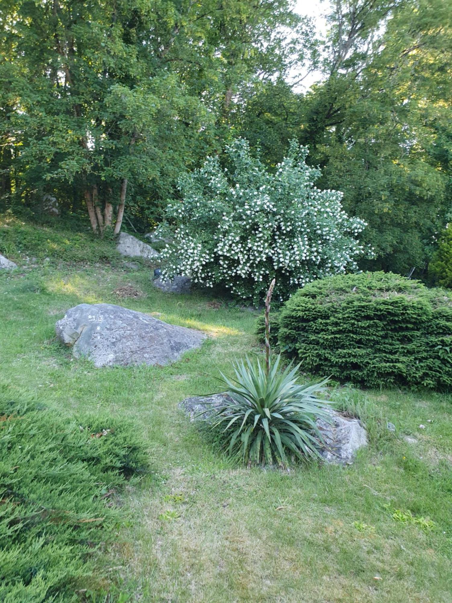 Bed and Breakfast Le Jardin des Roches à Moigny Extérieur photo